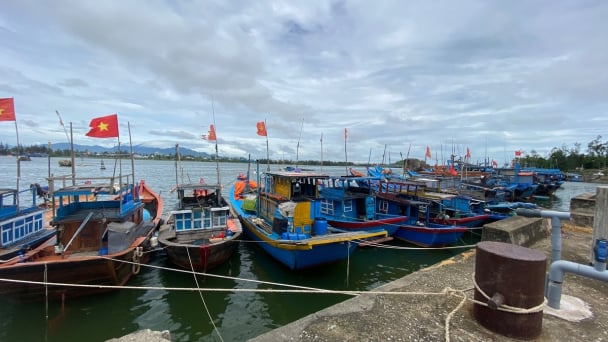 Quảng Ngãi khẩn trương phòng chống bão số 5