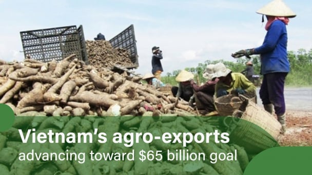 Cassava exports: Volume makes up for price drop