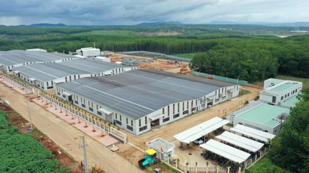 Cơ hội ‘bứt phá’ cho nông sản Việt