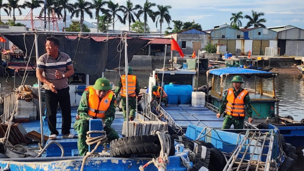 Hải Phòng yêu cầu cưỡng chế tàu, thuyền không vào bờ tránh bão số 11