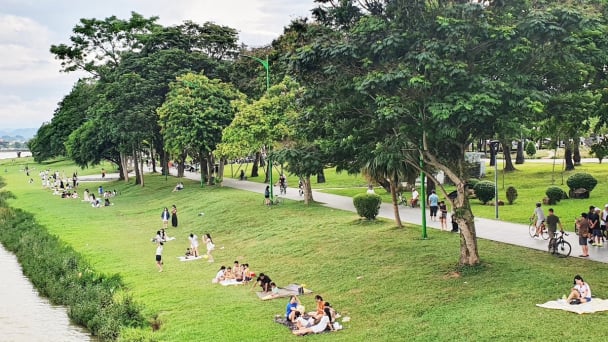 Sức sống xanh ở đôi bờ sông Hương