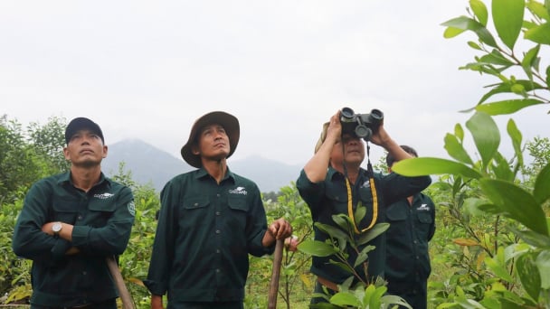 Ứng dụng công nghệ trong giám sát và quản lý tài nguyên