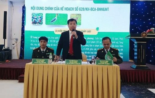 Tăng cường phối hợp kiểm lâm, liên ngành, củng cố thế chủ động bảo vệ rừng