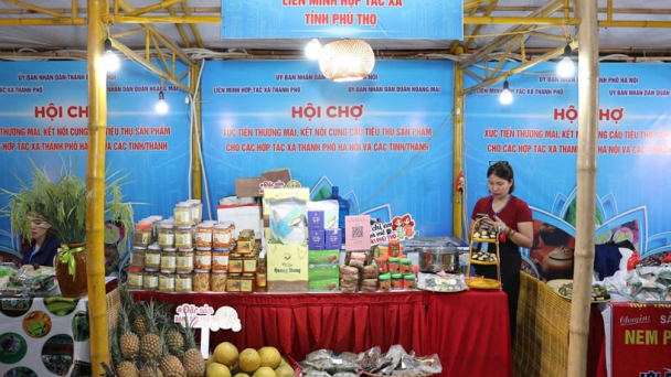 Dấu ấn nhiệm kỳ 2020-2025 của Liên minh HTX tỉnh Phú Thọ