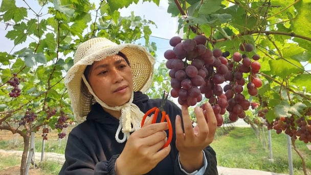 Giao kế hoạch đầu tư công trung hạn cho các chương trình mục tiêu quốc gia