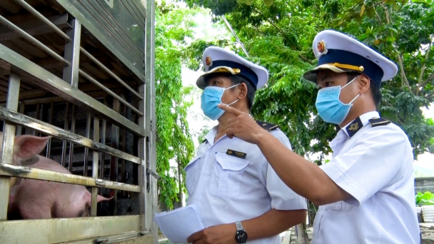 Chủ động phòng dịch, không để ‘chạy theo dịch’
