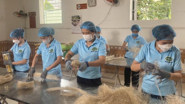 Miến dong làng So đạt OCOP 5 sao, xuất khẩu nhờ làm sạch từ ruộng phơi