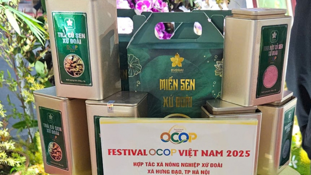 Khởi nghiệp từ sen: Hướng đi mới của HTX nông nghiệp Xứ Đoài