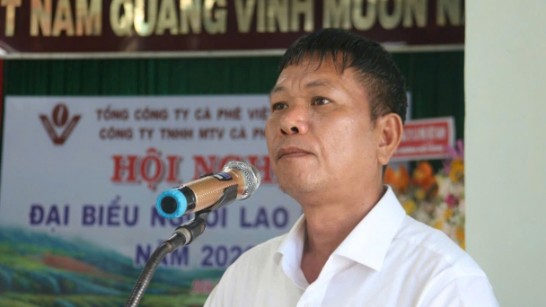 Cà phê 734 tập trung tái canh, nâng cao hiệu quả sản xuất