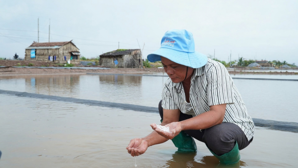 Cà Mau xem xét hỗ trợ diêm dân sau thiệt hại