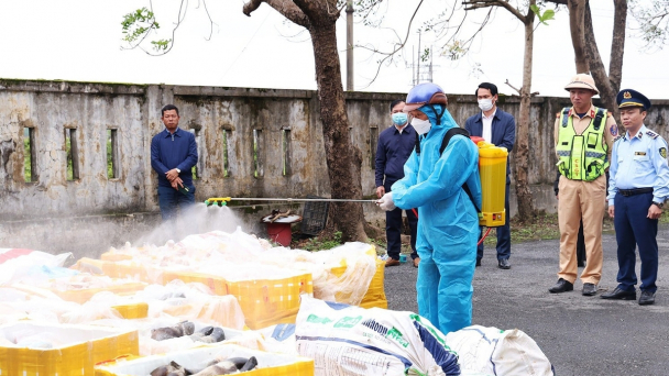 Tiêu hủy hơn 2,6 tấn nội tạng động vật không rõ nguồn gốc