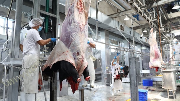 Thủ tướng yêu cầu chấn chỉnh công tác kiểm soát giết mổ gia súc