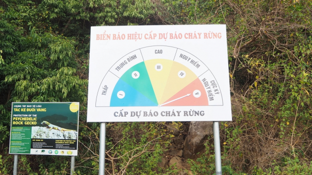 Cà Mau kiểm soát nguy cơ cháy rừng tại Hòn Khoai