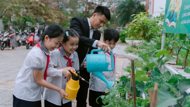 Học yêu môi trường từ những mầm cây nhỏ