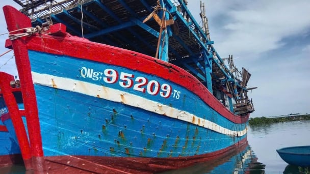 Quảng Ngãi đưa 14 ngư dân vào bờ an toàn sau sự cố ở Hoàng Sa