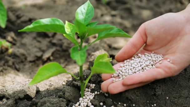 EU dự định dùng nguồn thu thuế carbon trợ cấp nông dân