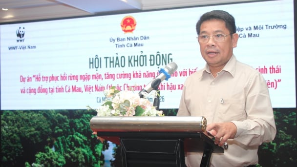 Khởi động dự án phục hồi rừng ngập mặn tại Cà Mau