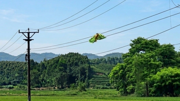 Cảnh báo sự cố lưới điện do thả diều gần hành lang an toàn điện