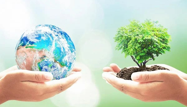 Khi chính sách xanh hóa thành hành động thực chất