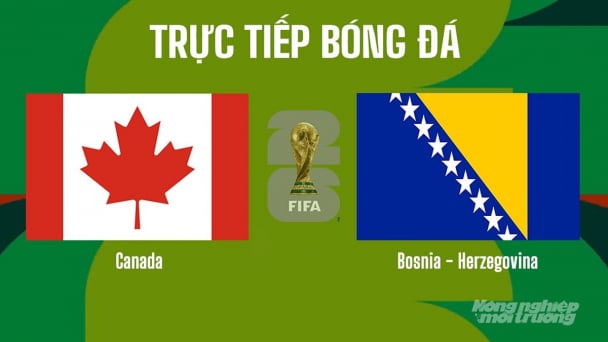 Nhận định, trực tiếp Canada vs Bosnia-Herzegovina trên VTV3 tại World Cup 2026 ngày 13/6/2026