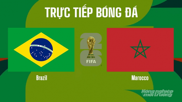 Nhận định, trực tiếp Brazil vs Marocco trên VTV3 tại World Cup 2026 ngày 14/6/2026