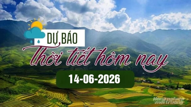 Tin tức thời tiết hôm nay 14/6/2026: Miền Bắc nắng nóng