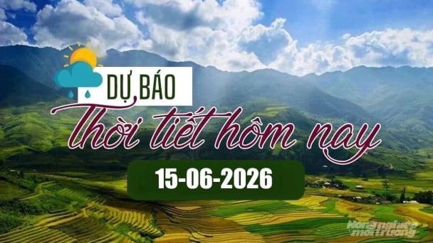 Tin tức thời tiết hôm nay 15/6/2026: Miền Trung nắng nóng