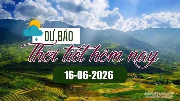 Tin tức thời tiết hôm nay 16/6/2026: Bắc Bộ có mưa