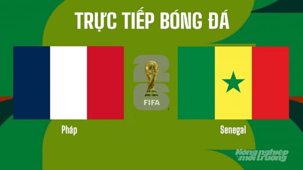 Nhận định, trực tiếp Pháp vs Senegal trên VTV3 tại World Cup 2026 ngày 17/6/2026