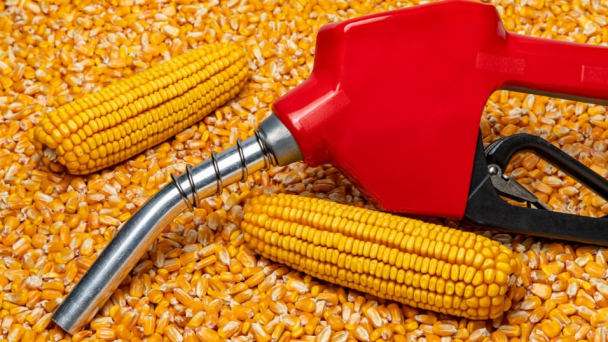 Ethanol từ ngô Brazil được công nhận là nhiên liệu phát thải thấp