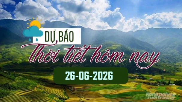 Tin tức thời tiết hôm nay 26/6/2026: Bắc Bộ có mưa giông