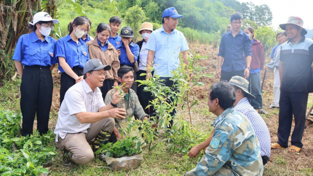 'Đại hội không hoa' thành hơn 1 triệu cây cà phê cho đồng bào Xơ Đăng