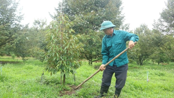 Phụ phẩm nông nghiệp 'chắp cánh' cho nông nghiệp bền vững