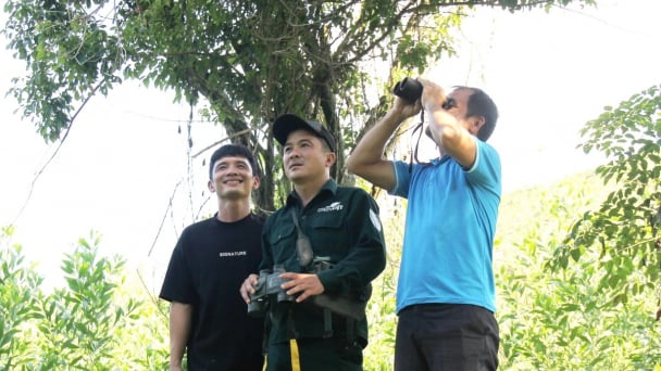 Đà Nẵng: Rộng cơ hội bảo tồn đa dạng sinh học theo mô hình OECM