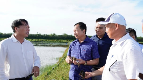 Định hình sản phẩm chủ lực, tạo sức bật cho thủy sản Hưng Yên