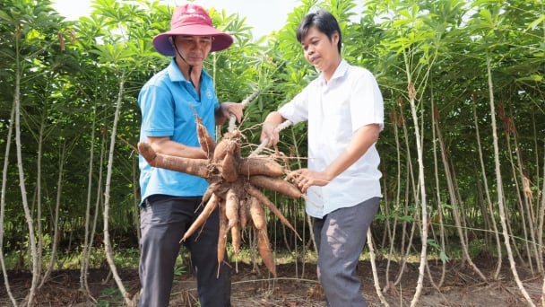 Gieo mầm công nghệ vùng biên