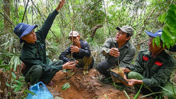 Thôn đầu tiên ở Huế được trao quyền làm chủ rừng