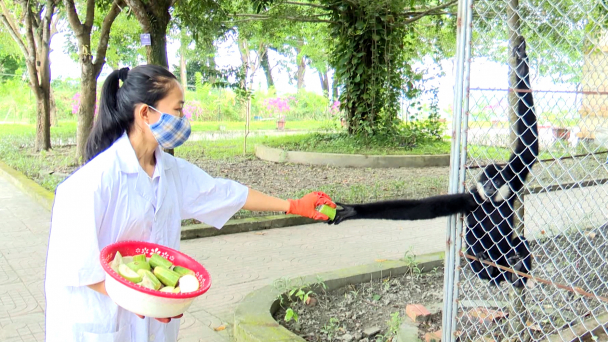 Hồi sinh động vật quý hiếm ở Vũ Quang