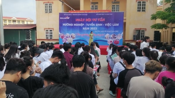 Đẩy mạnh tư vấn, giới thiệu việc làm cho người lao động
