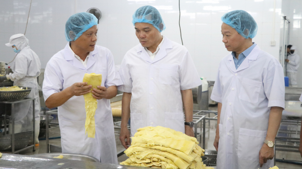 Phó Thủ tướng Trần Lưu Quang thăm vùng tre măng Bát độ