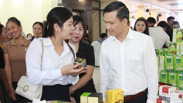 Xây dựng sản phẩm OCOP, đưa nông sản Yên Bái vươn xa