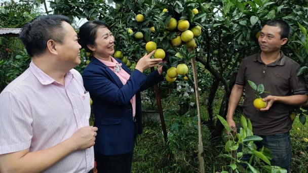 Khắc phục hậu quả thiên tai nhờ nguồn vốn chính sách