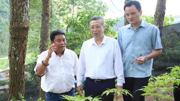 Thứ trưởng Hoàng Trung định hướng Lào Cai phát triển nông nghiệp hàng hóa