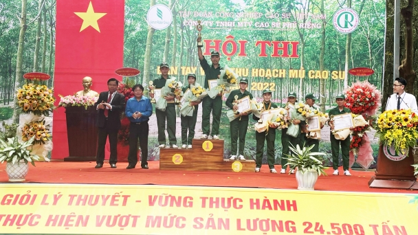Hội thi bàn tay vàng thu hoạch mủ Công ty cao su Phú Riềng năm 2022
