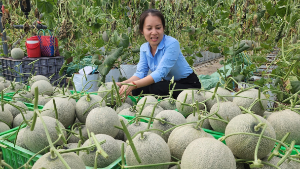 Ngành nông nghiệp Đồng Nai tái cơ cấu phục hồi mạnh mẽ