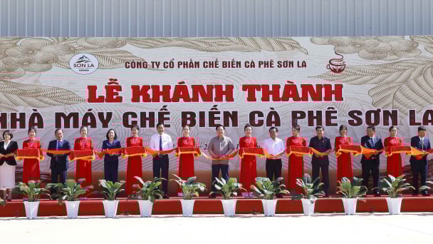 WinCommerce ký ghi nhớ đưa cà phê Sơn La vào hệ thống bán lẻ