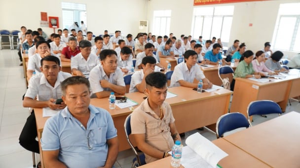 Tây Ninh chủ động phòng chống dịch tả heo Châu Phi