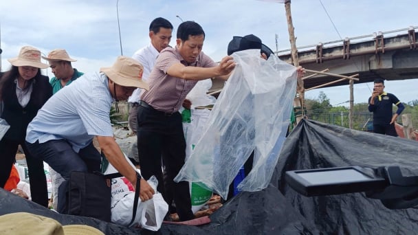 Thả hơn 1,3 triệu con giống tái tạo nguồn lợi thủy sản