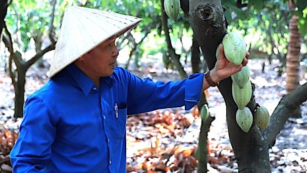 Khoa học công nghệ - Chìa khóa cho phát triển bền vững