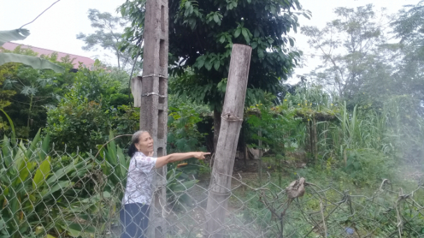 Hai cấp tòa tỉnh Phú Thọ cố tình lờ Bộ luật Dân sự?